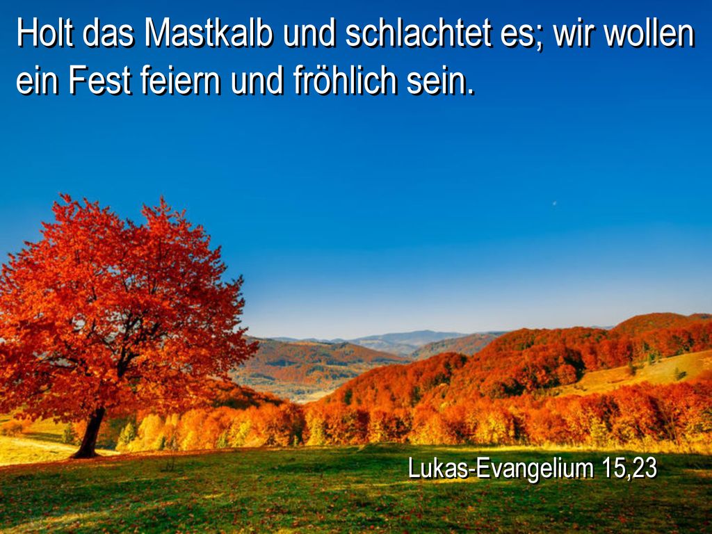 Holt das Mastkalb und schlachtet es; wir wollen ein Fest feiern und fröhlich sein.