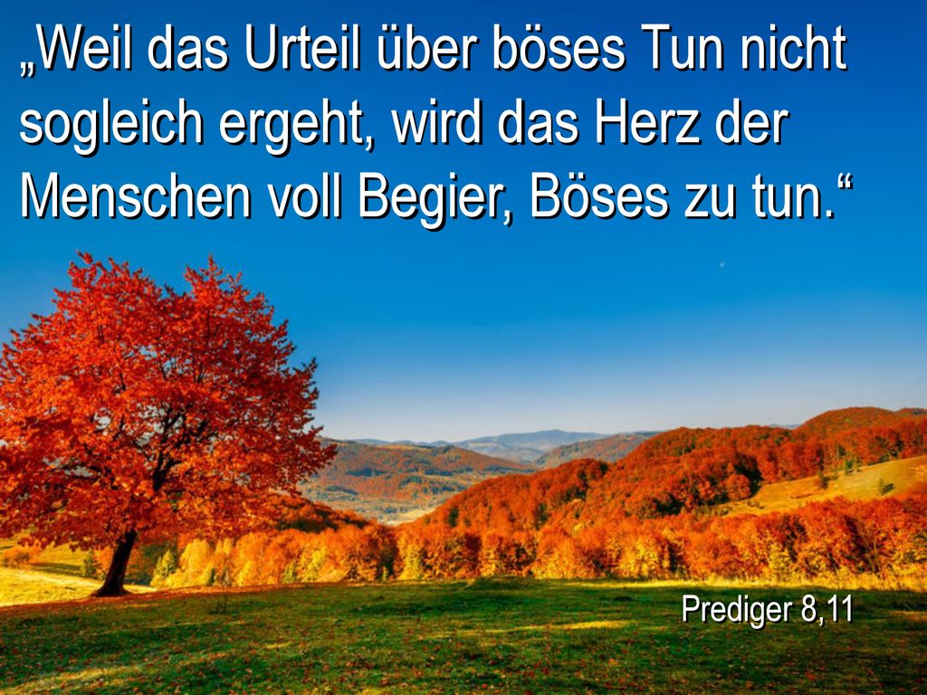 „Weil das Urteil über böses Tun nicht sogleich ergeht, wird das Herz der Menschen voll Begier, Böses zu tun.