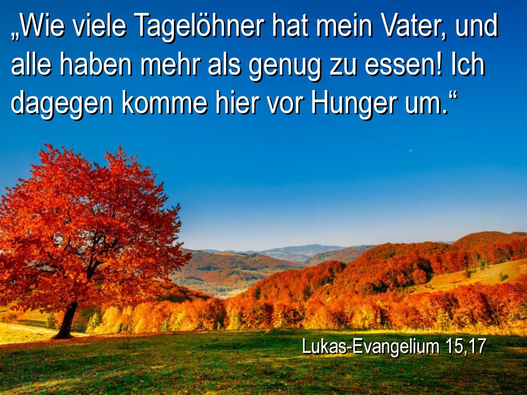 „Wie viele Tagelöhner hat mein Vater, und alle haben mehr als genug zu essen! Ich dagegen komme hier vor Hunger um.