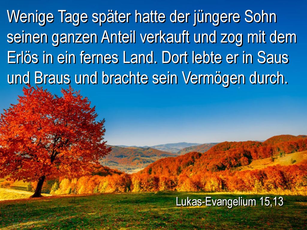 Wenige Tage später hatte der jüngere Sohn seinen ganzen Anteil verkauft und zog mit dem Erlös in ein fernes Land. Dort lebte er in Saus und Braus und brachte sein Vermögen durch.