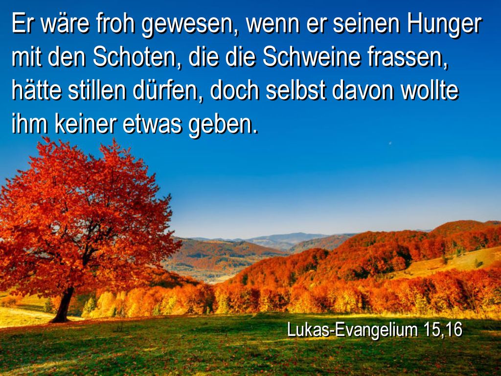 Er wäre froh gewesen, wenn er seinen Hunger mit den Schoten, die die Schweine frassen, hätte stillen dürfen, doch selbst davon wollte ihm keiner etwas geben.