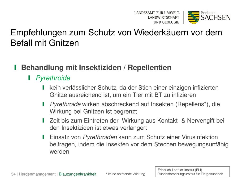 Empfehlungen zum Schutz von Wiederkäuern vor dem Befall mit Gnitzen
