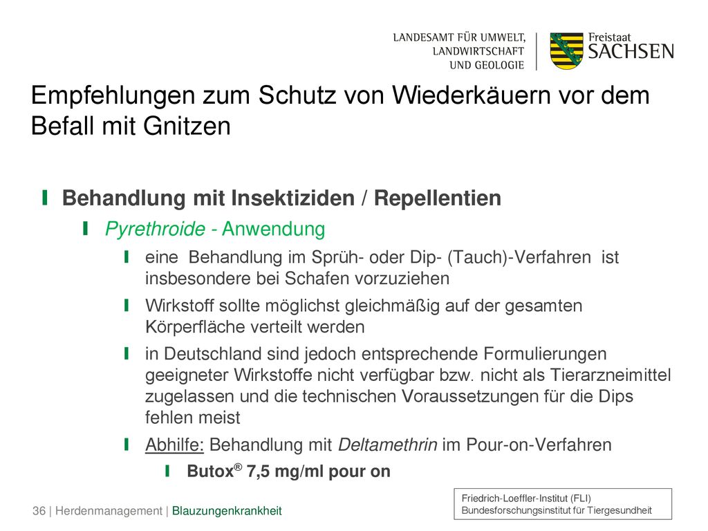 Empfehlungen zum Schutz von Wiederkäuern vor dem Befall mit Gnitzen