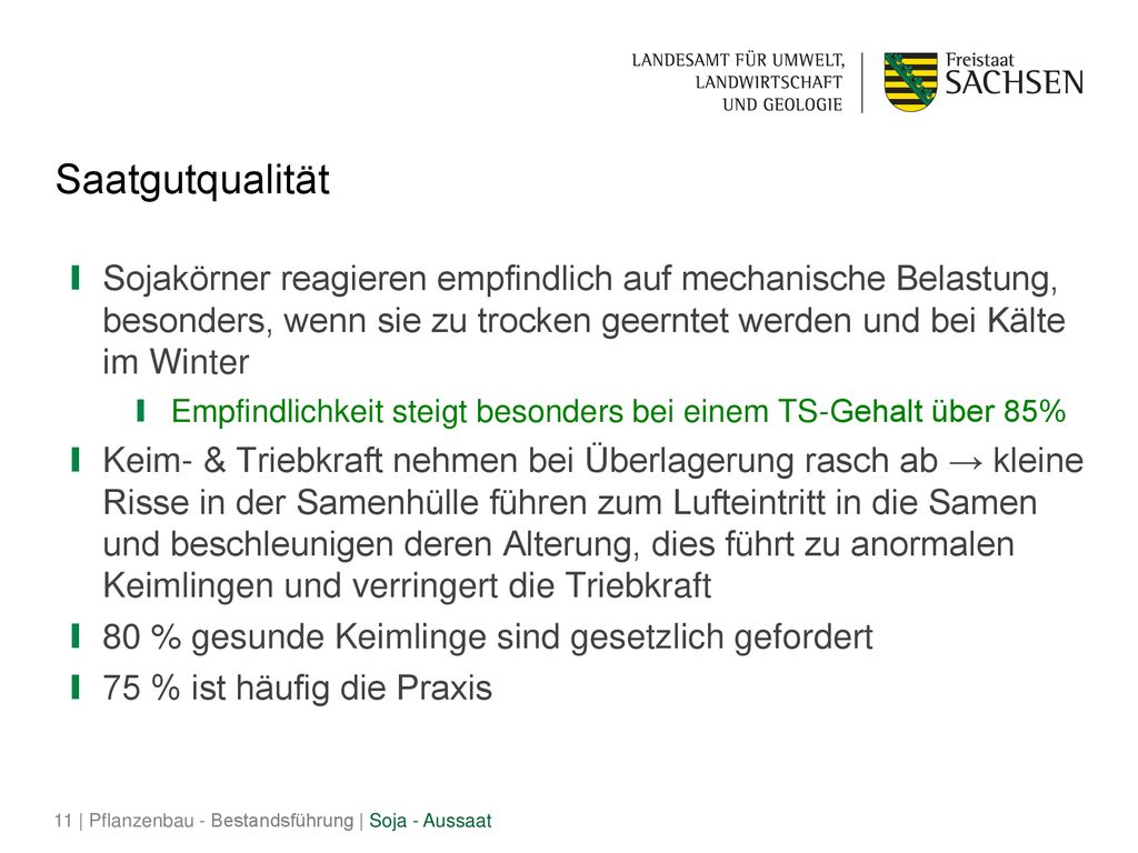 Saatgutqualität Sojakörner reagieren empfindlich auf mechanische Belastung, besonders, wenn sie zu trocken geerntet werden und bei Kälte im Winter.