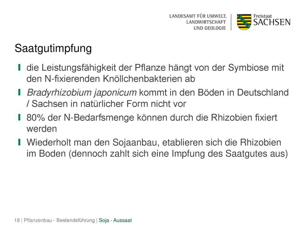 Saatgutimpfung die Leistungsfähigkeit der Pflanze hängt von der Symbiose mit den N-fixierenden Knöllchenbakterien ab.