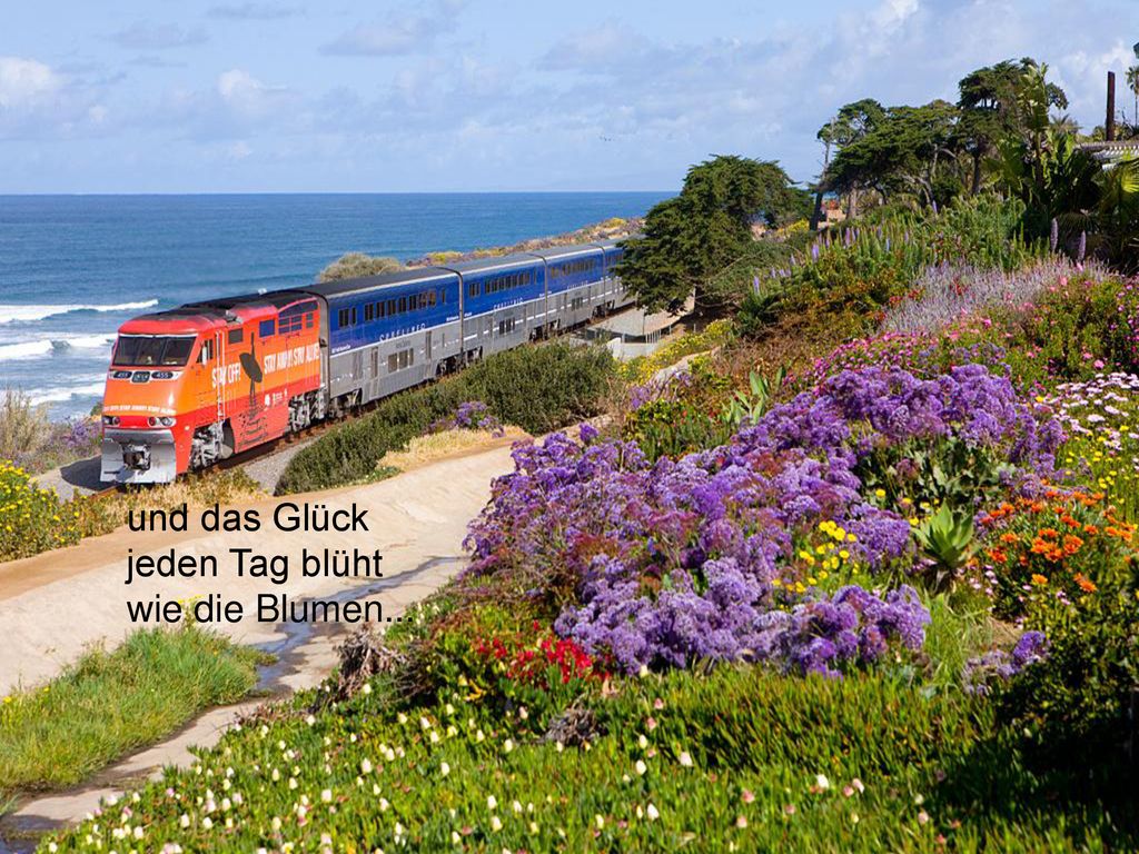 und das Glück jeden Tag blüht wie die Blumen...