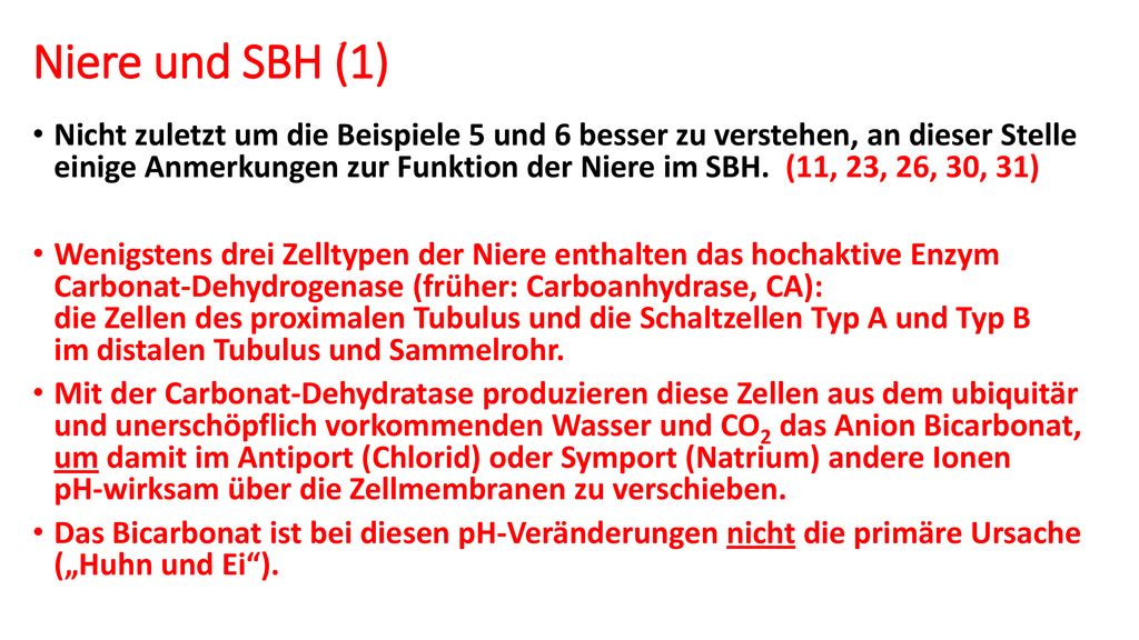 Niere und SBH (1)