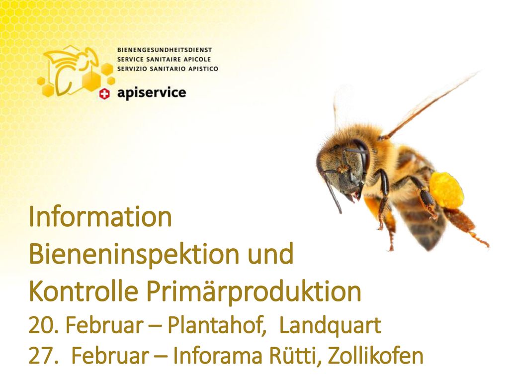 Information Bieneninspektion und Kontrolle Primärproduktion 20