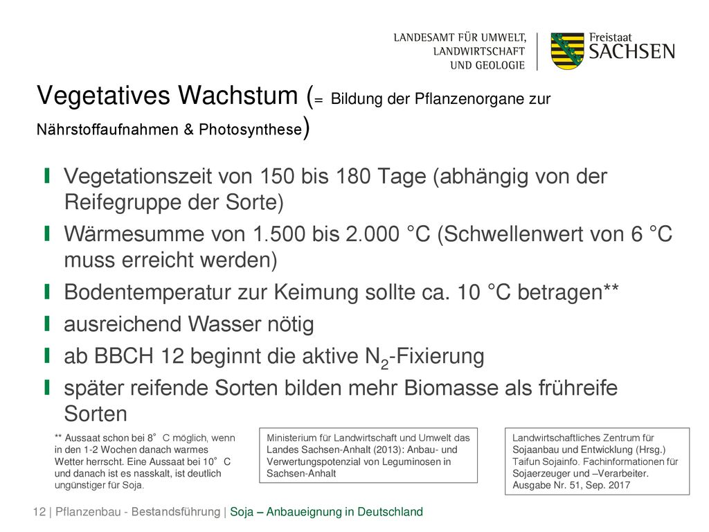 Vegetatives Wachstum (= Bildung der Pflanzenorgane zur Nährstoffaufnahmen & Photosynthese)