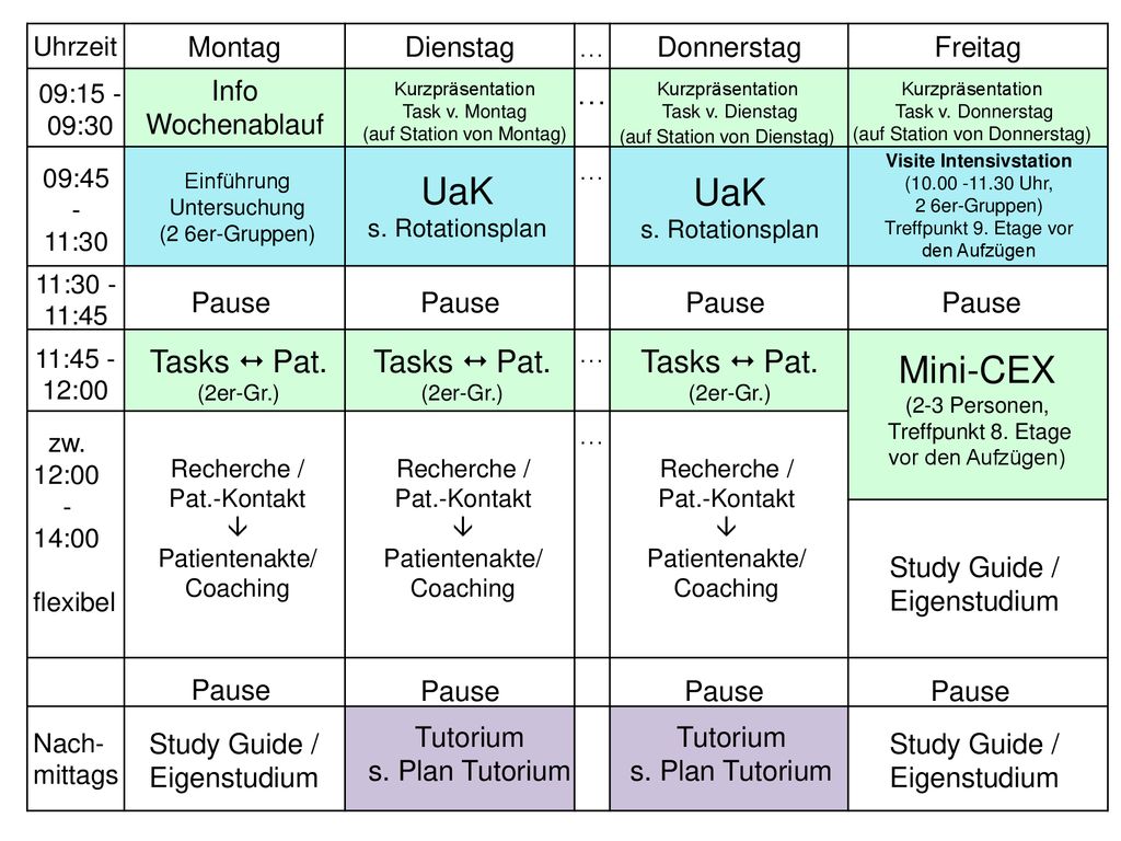 UaK UaK Mini-CEX Tasks  Pat. Tasks  Pat. Tasks  Pat. Montag