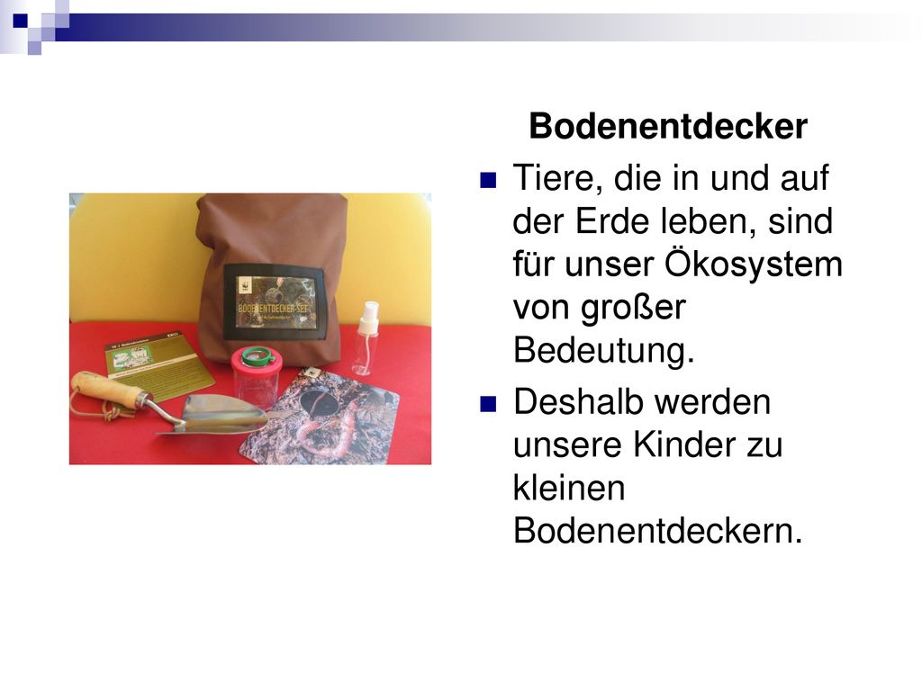 Bodenentdecker Tiere, die in und auf der Erde leben, sind für unser Ökosystem von großer Bedeutung.