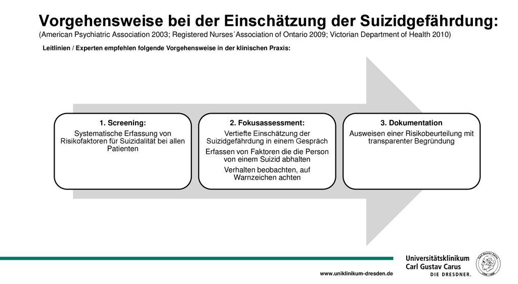 Vorgehensweise bei der Einschätzung der Suizidgefährdung: (American Psychiatric Association 2003; Registered Nurses´Association of Ontario 2009; Victorian Department of Health 2010)