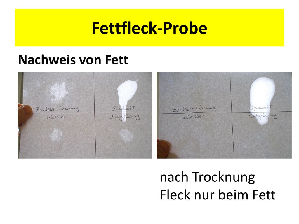 Fettfleck-Probe Nachweis von Fett nach Trocknung Fleck nur beim Fett