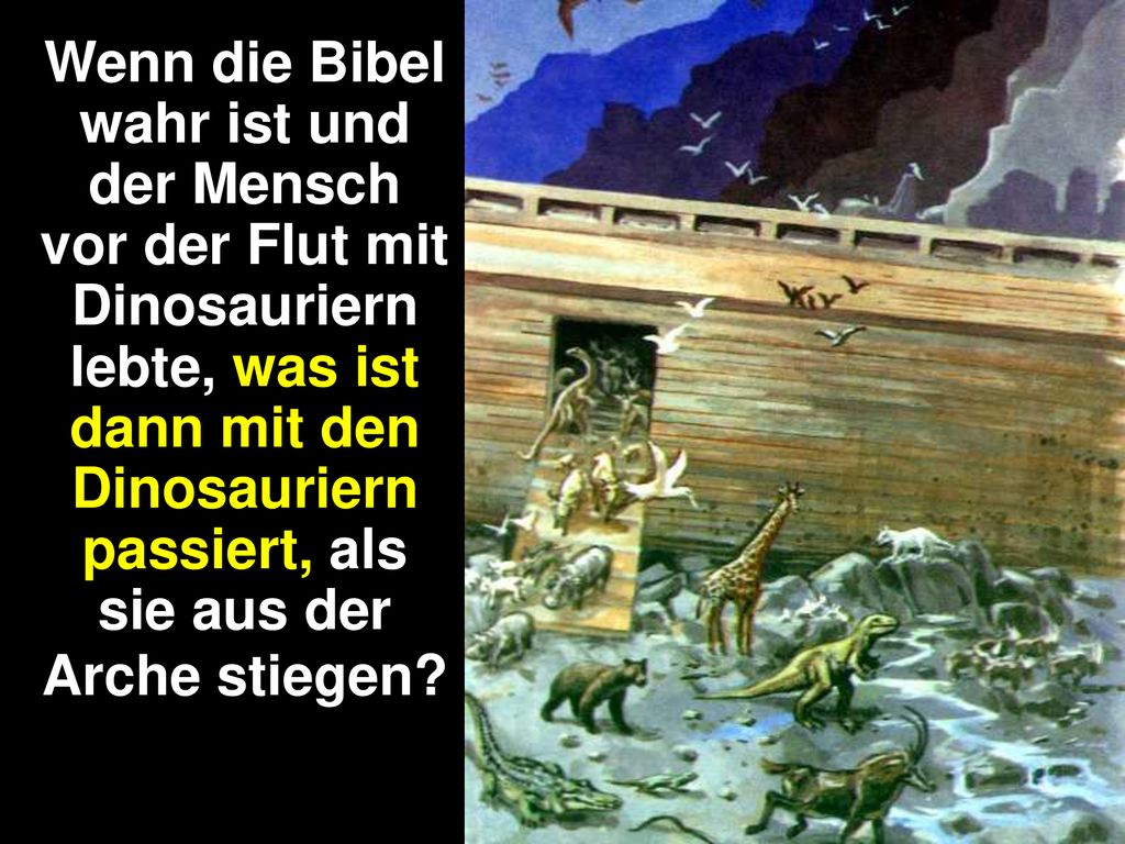 Wenn die Bibel wahr ist und der Mensch vor der Flut mit Dinosauriern lebte, was ist dann mit den Dinosauriern passiert, als sie aus der Arche stiegen