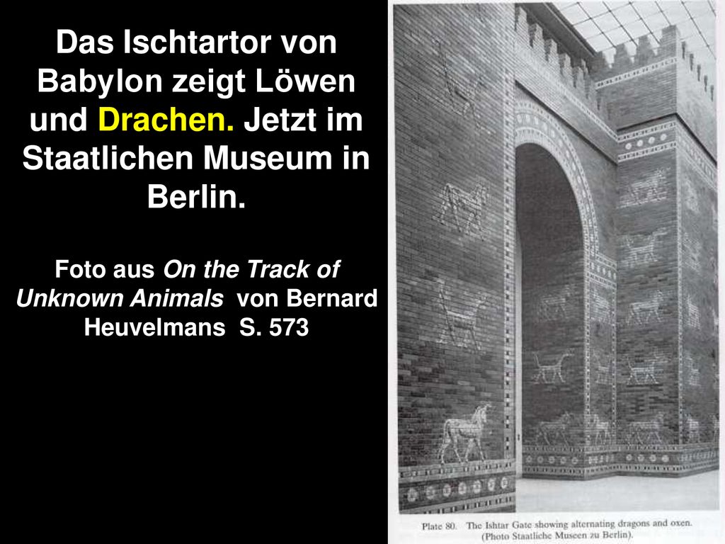 Foto aus On the Track of Unknown Animals von Bernard Heuvelmans S. 573