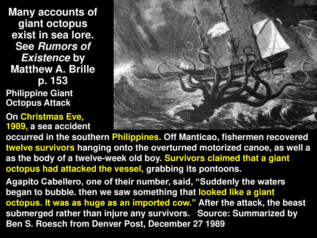 Many accounts of giant octopus exist in sea lore.
