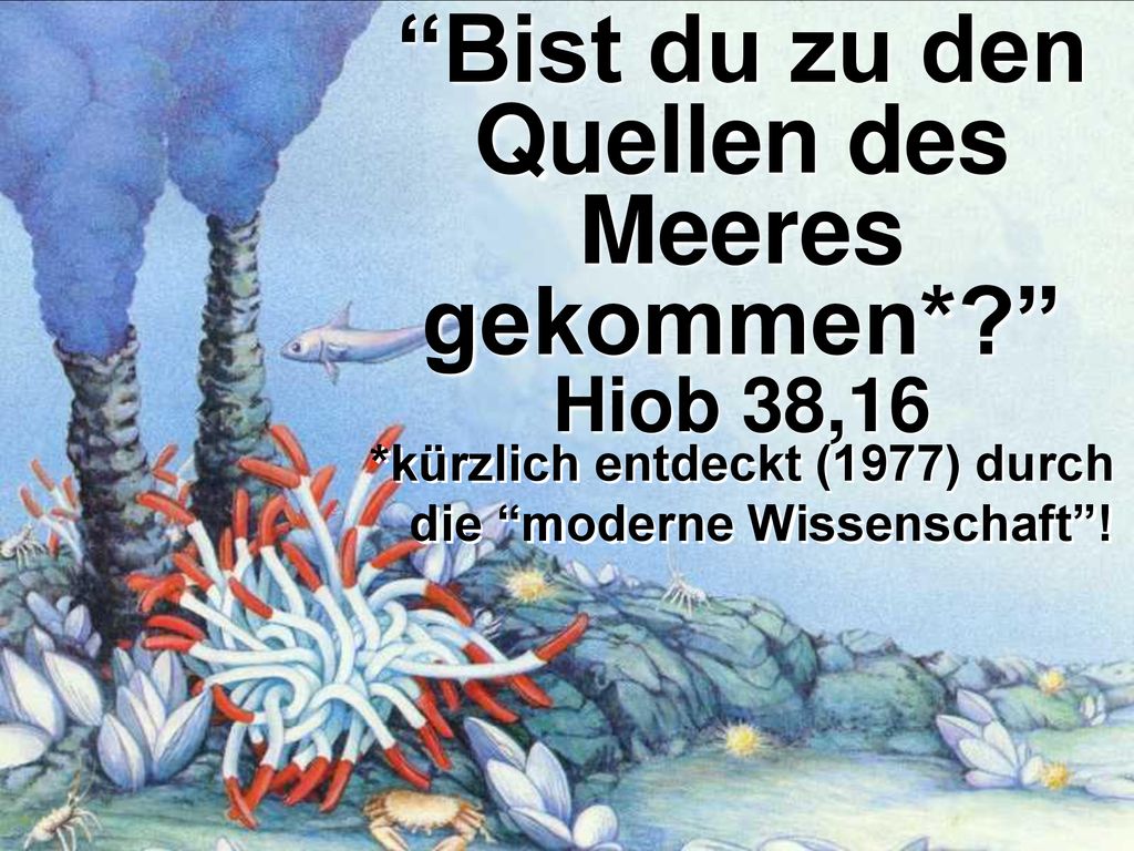 Bist du zu den Quellen des Meeres gekommen* Hiob 38,16
