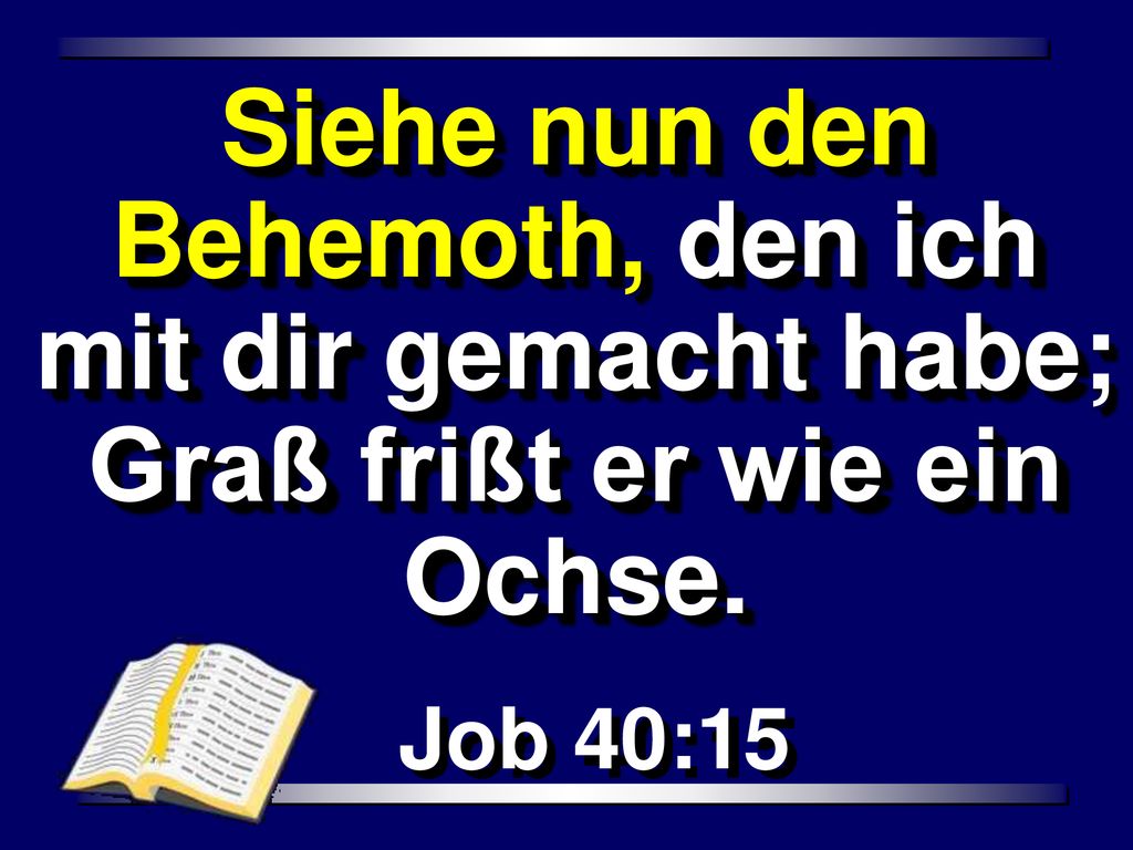 Siehe nun den Behemoth, den ich mit dir gemacht habe; Graß frißt er wie ein Ochse.