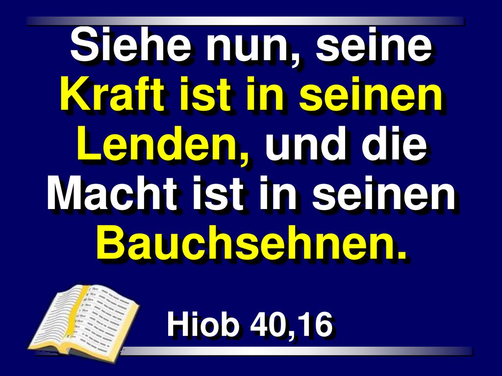 Siehe nun, seine Kraft ist in seinen Lenden, und die Macht ist in seinen Bauchsehnen.