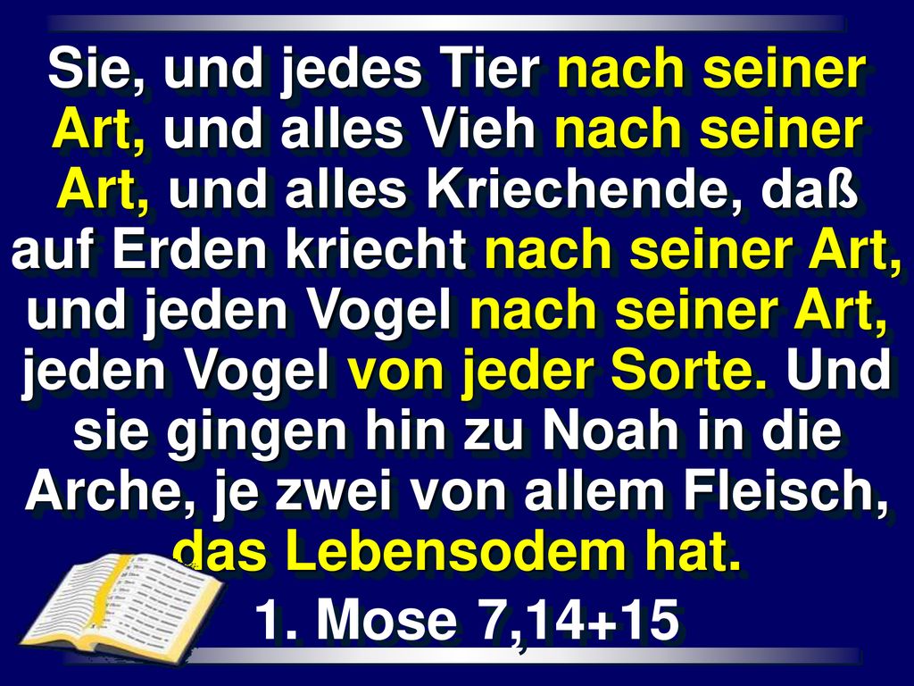 Sie, und jedes Tier nach seiner Art, und alles Vieh nach seiner Art, und alles Kriechende, daß auf Erden kriecht nach seiner Art, und jeden Vogel nach seiner Art, jeden Vogel von jeder Sorte. Und sie gingen hin zu Noah in die Arche, je zwei von allem Fleisch, das Lebensodem hat.