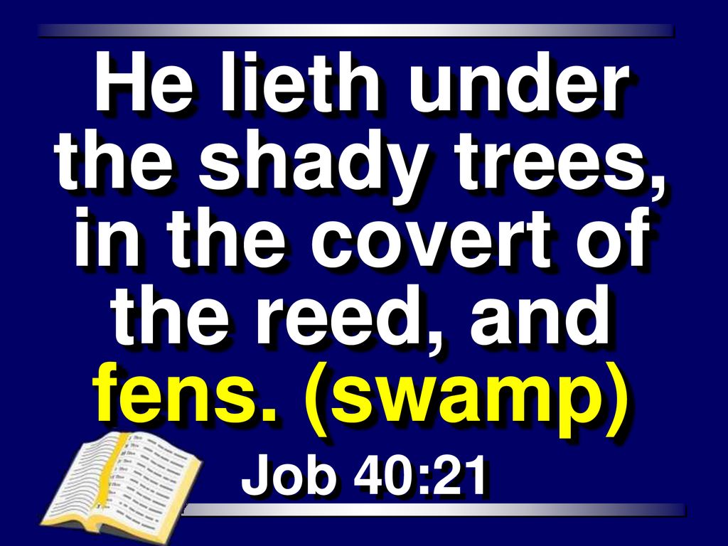 He lieth under the shady trees, in the covert of the reed, and fens