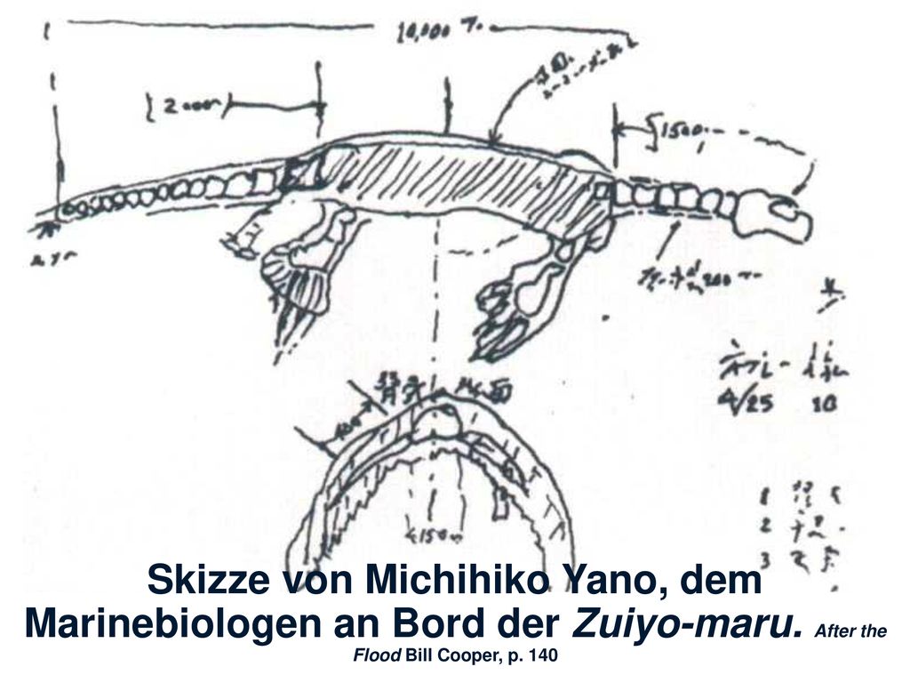 Skizze von Michihiko Yano, dem Marinebiologen an Bord der Zuiyo-maru
