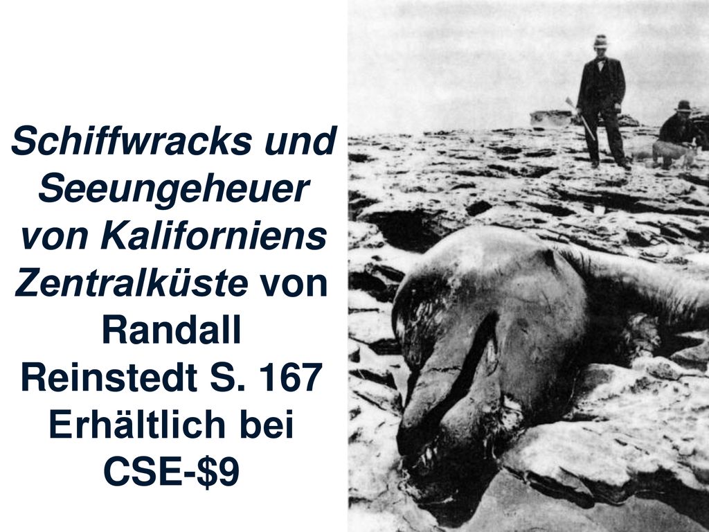 Schiffwracks und Seeungeheuer von Kaliforniens Zentralküste von Randall Reinstedt S. 167