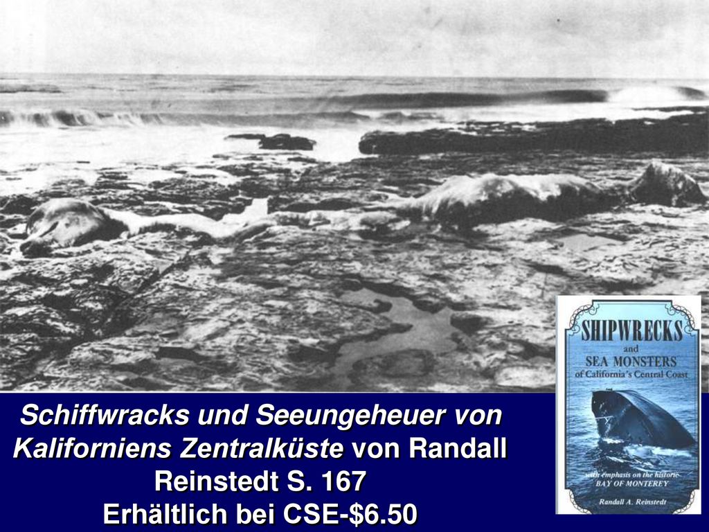 Schiffwracks und Seeungeheuer von Kaliforniens Zentralküste von Randall Reinstedt S. 167