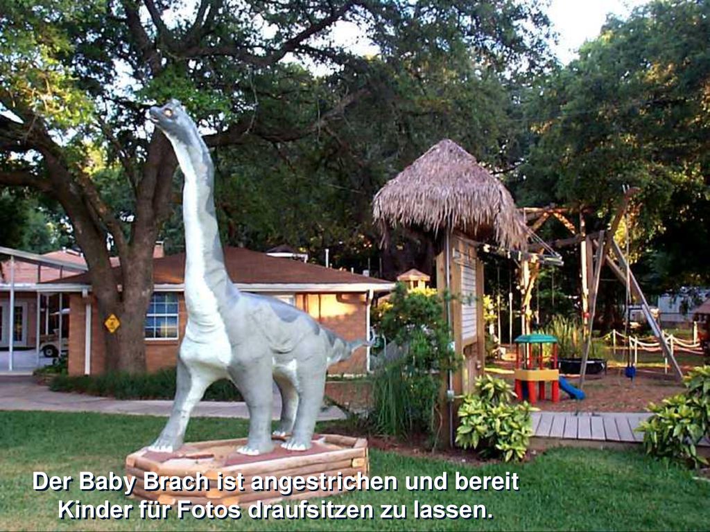 Der Baby Brach ist angestrichen und bereit Kinder für Fotos draufsitzen zu lassen.