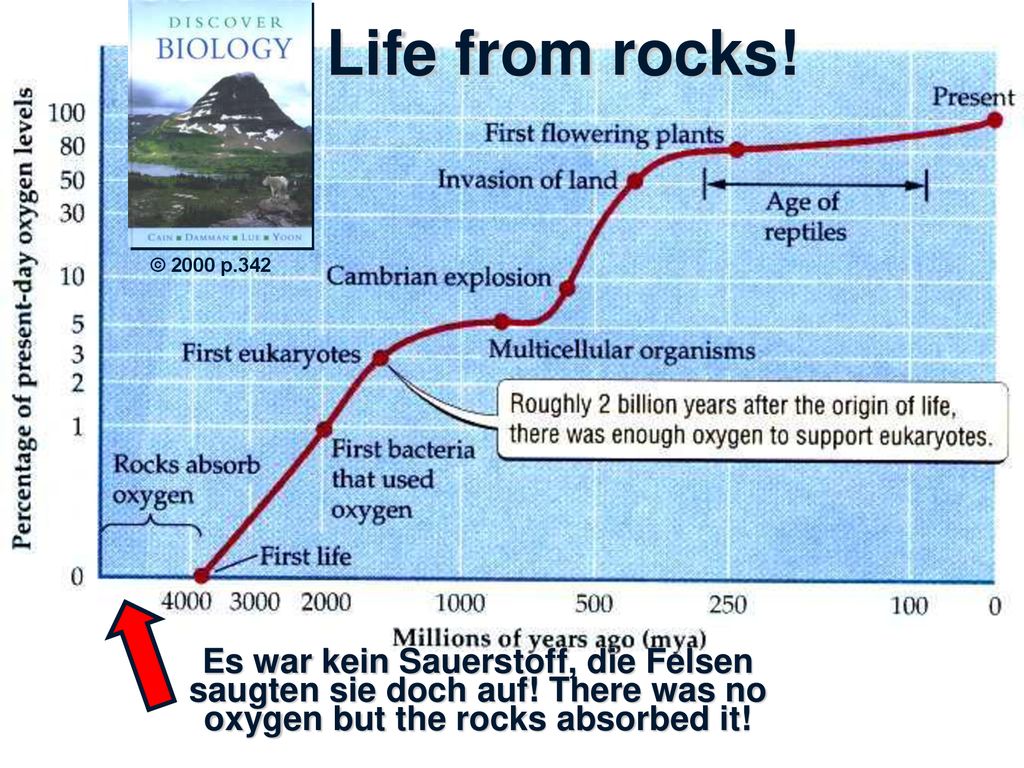 Life from rocks. © 2000 p.342. Es war kein Sauerstoff, die Felsen saugten sie doch auf.