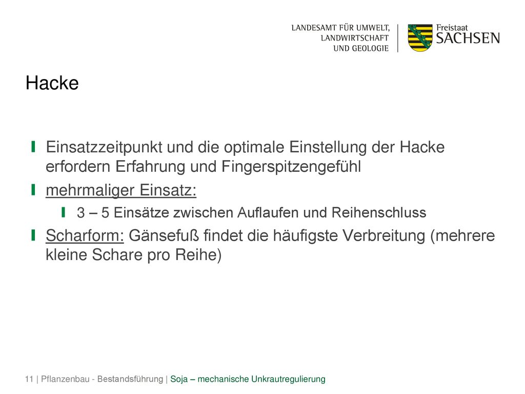 Hacke Einsatzzeitpunkt und die optimale Einstellung der Hacke erfordern Erfahrung und Fingerspitzengefühl.
