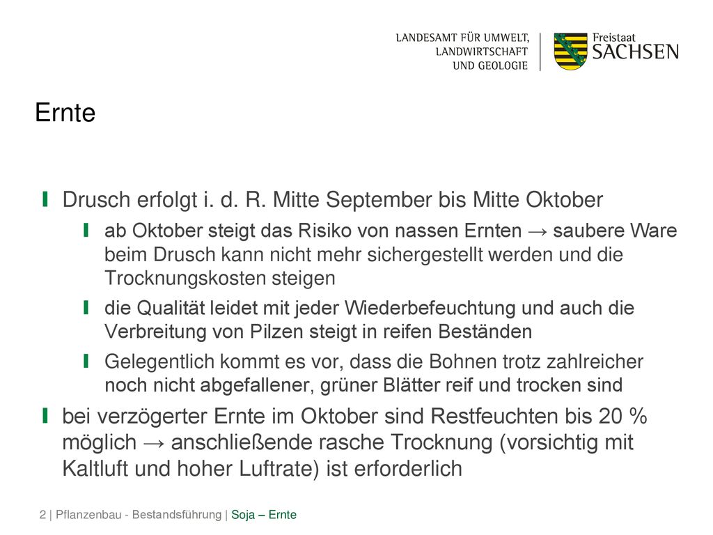 Ernte Drusch erfolgt i. d. R. Mitte September bis Mitte Oktober