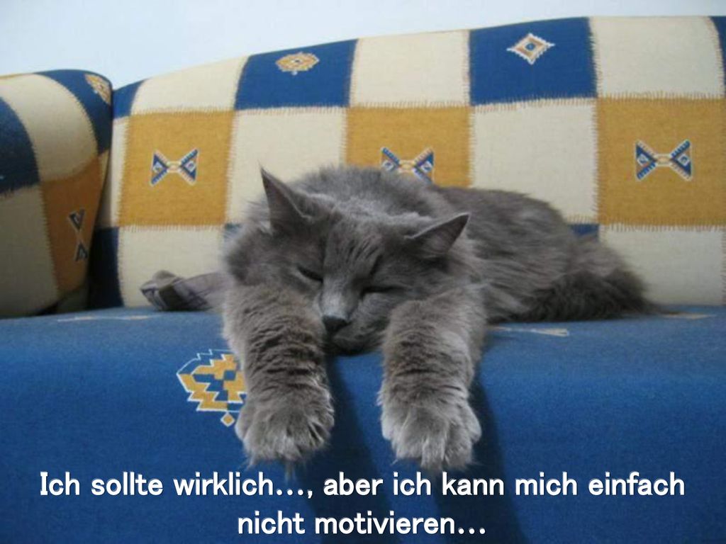 Ich sollte wirklich…, aber ich kann mich einfach nicht motivieren…