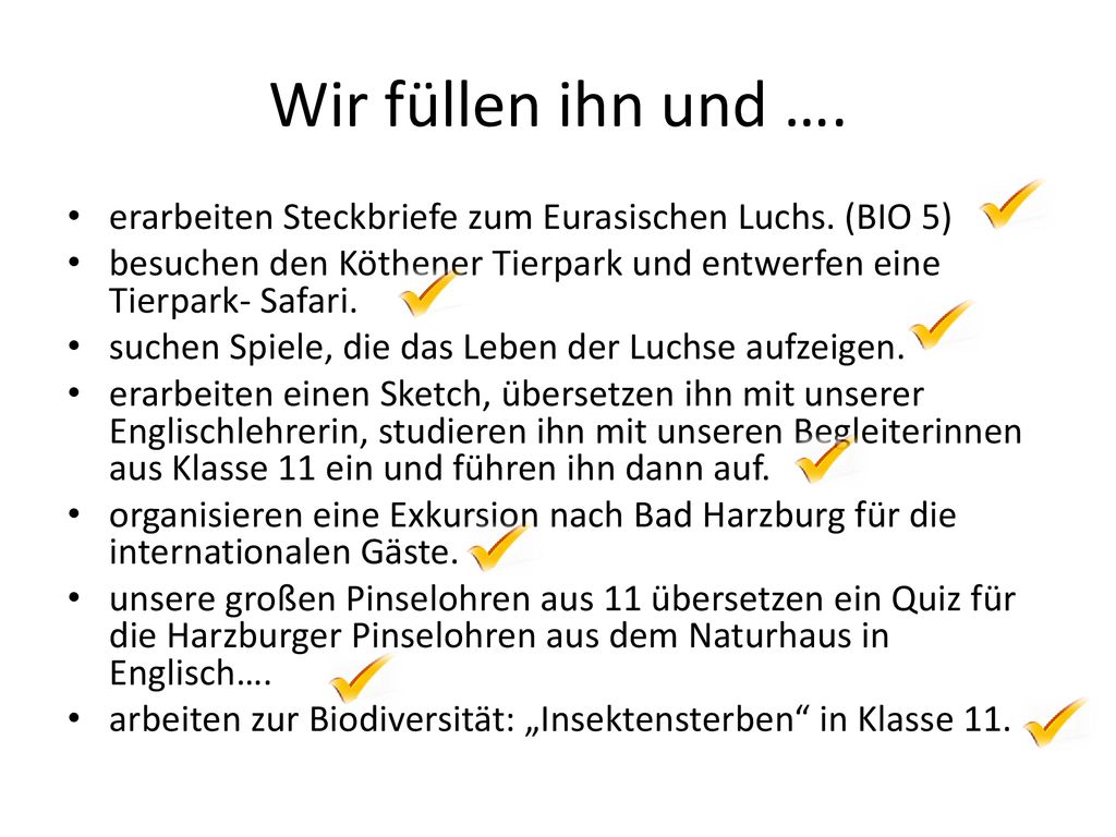 Wir füllen ihn und …. erarbeiten Steckbriefe zum Eurasischen Luchs. (BIO 5) besuchen den Köthener Tierpark und entwerfen eine Tierpark- Safari.