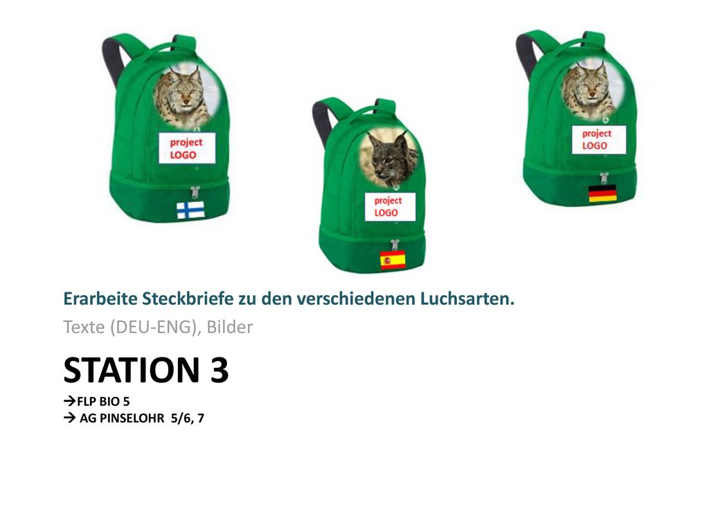 Station 3 FLP BIO 5  AG Pinselohr 5/6, 7