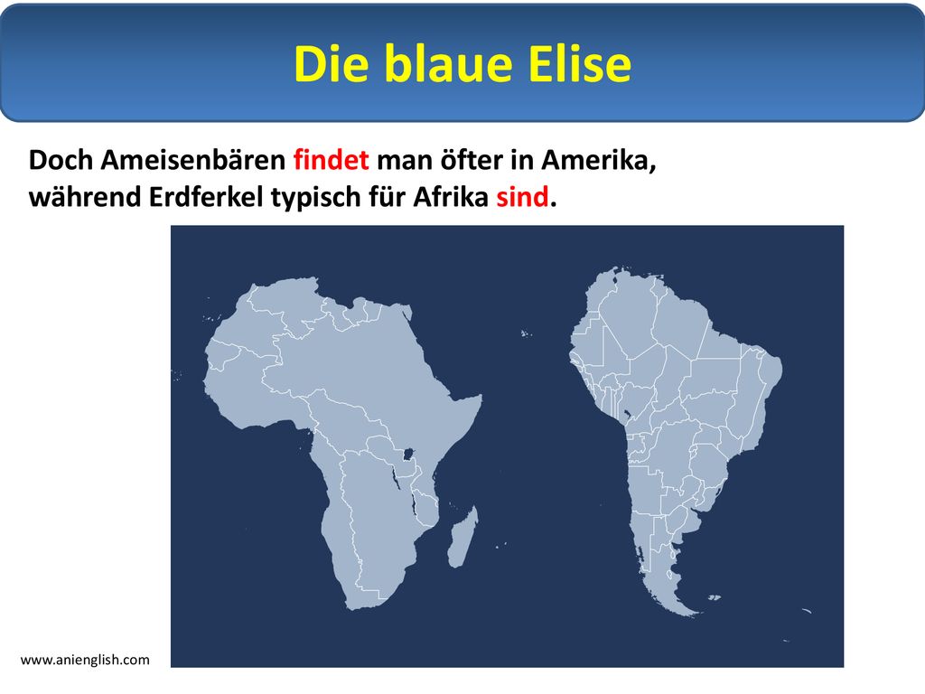 Die blaue Elise Doch Ameisenbären findet man öfter in Amerika, während Erdferkel typisch für Afrika sind.