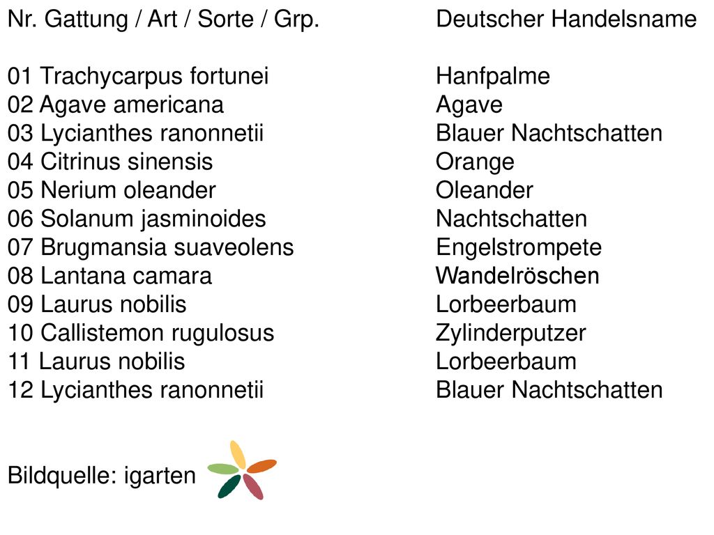 Nr. Gattung / Art / Sorte / Grp. Deutscher Handelsname