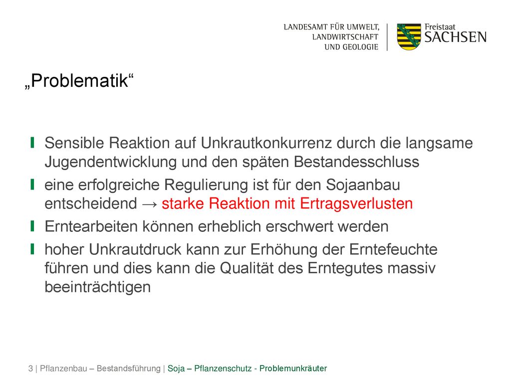 „Problematik Sensible Reaktion auf Unkrautkonkurrenz durch die langsame Jugendentwicklung und den späten Bestandesschluss.