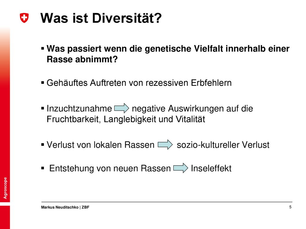 Was ist Diversität Was passiert wenn die genetische Vielfalt innerhalb einer Rasse abnimmt Gehäuftes Auftreten von rezessiven Erbfehlern.