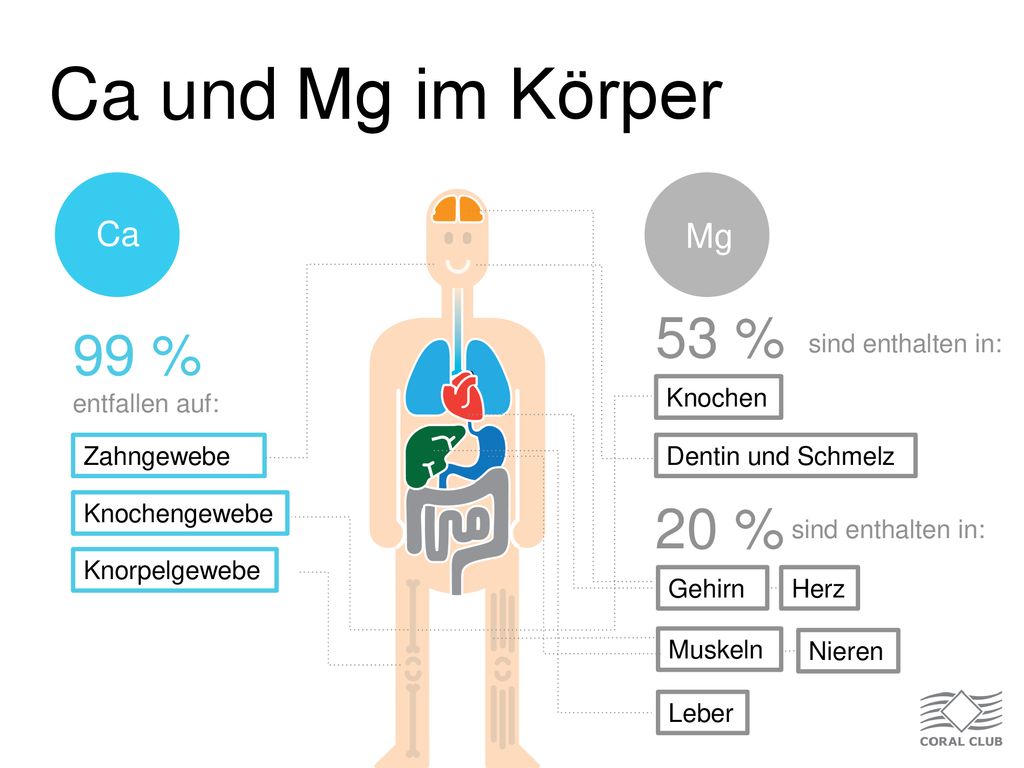 Ca und Mg im Körper 53 % 99 % 20 % Ca Mg sind enthalten in: