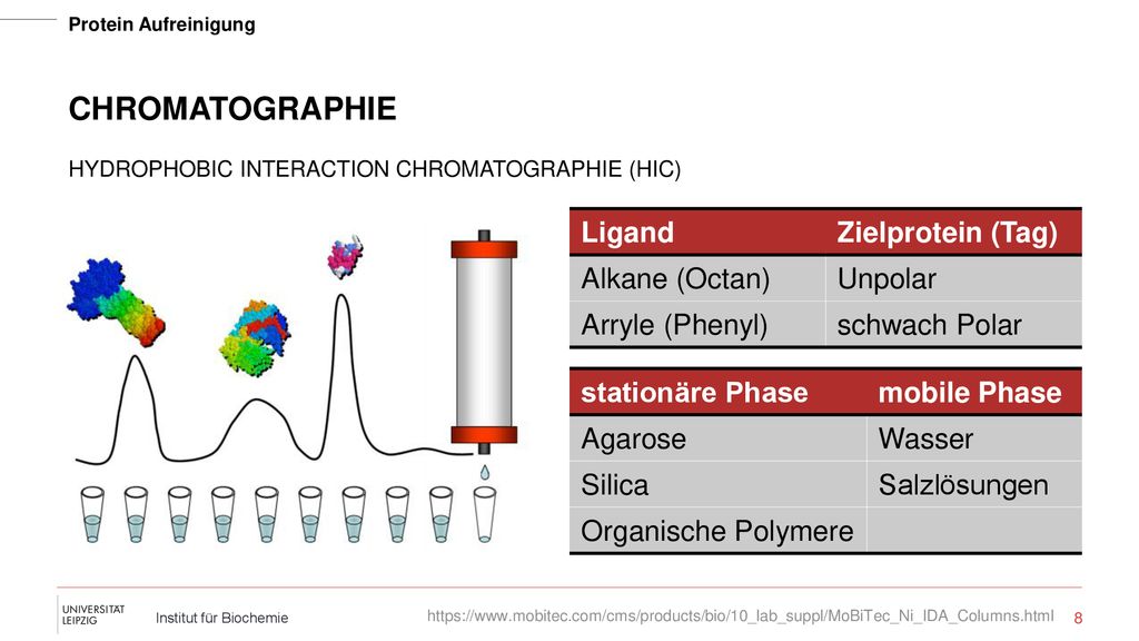 Chromatographie Ligand Zielprotein (Tag) Alkane (Octan) Unpolar
