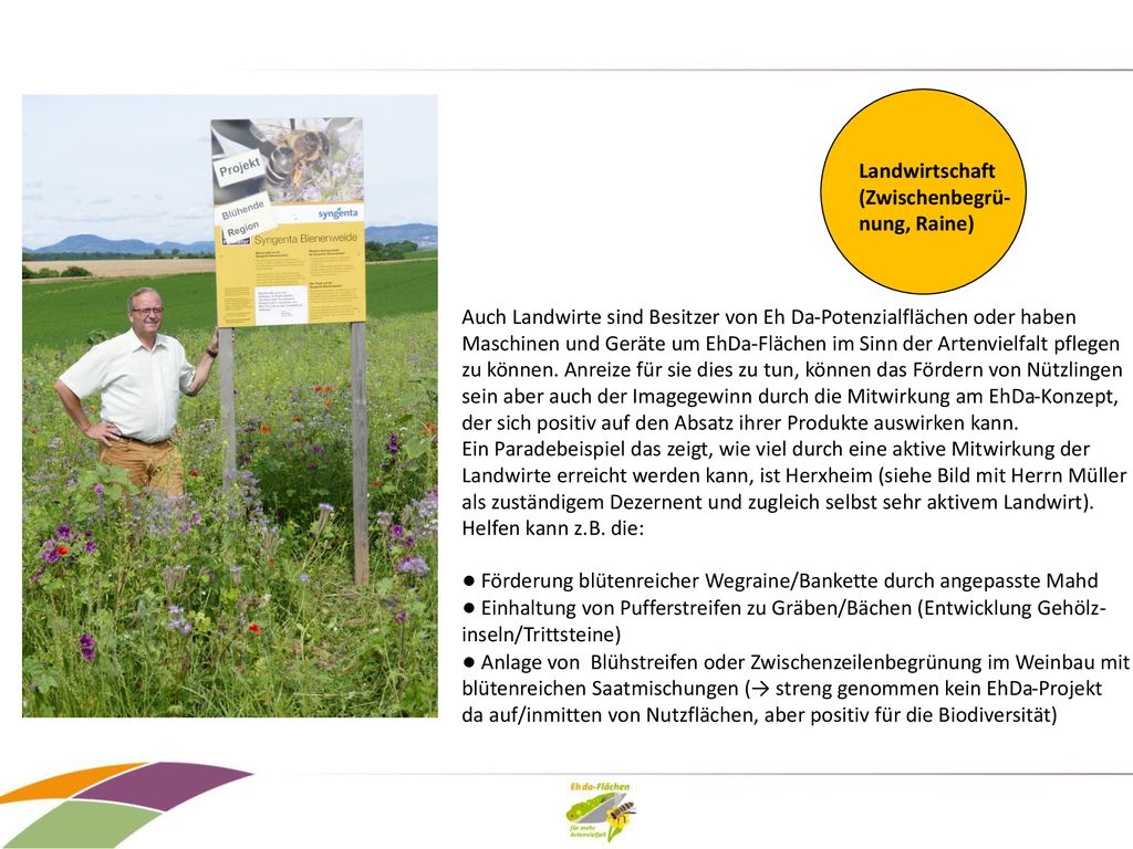 Landwirtschaft (Zwischenbegrü- nung, Raine) Auch Landwirte sind Besitzer von Eh Da-Potenzialflächen oder haben.