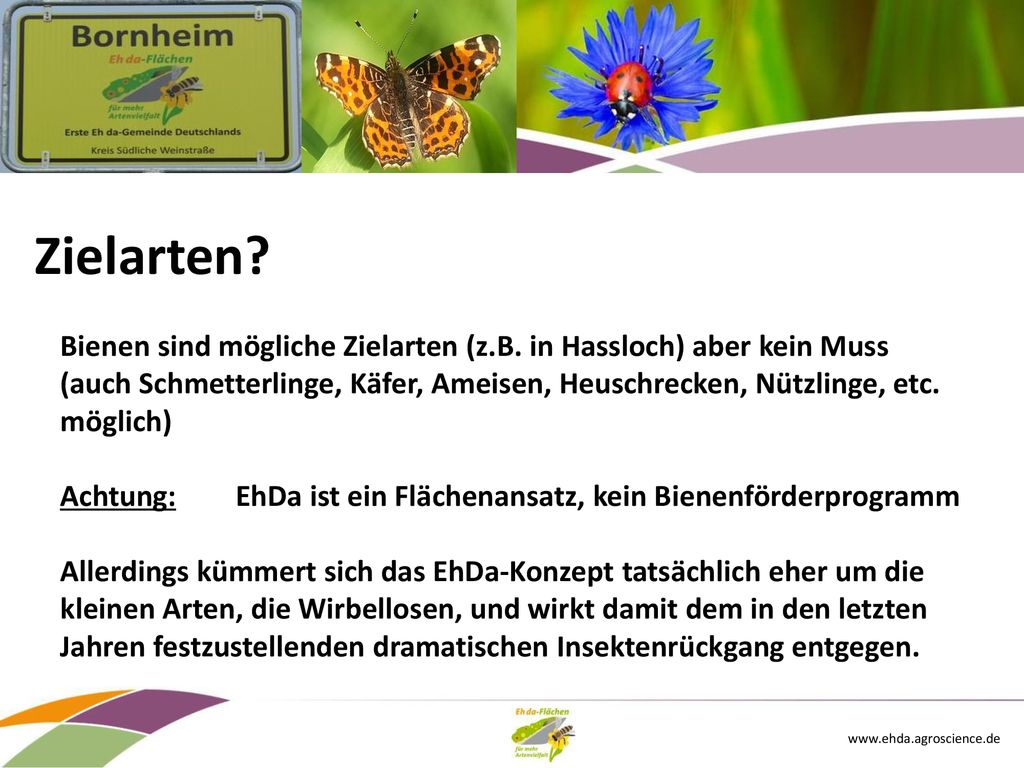 Zielarten Bienen sind mögliche Zielarten (z.B. in Hassloch) aber kein Muss. (auch Schmetterlinge, Käfer, Ameisen, Heuschrecken, Nützlinge, etc.