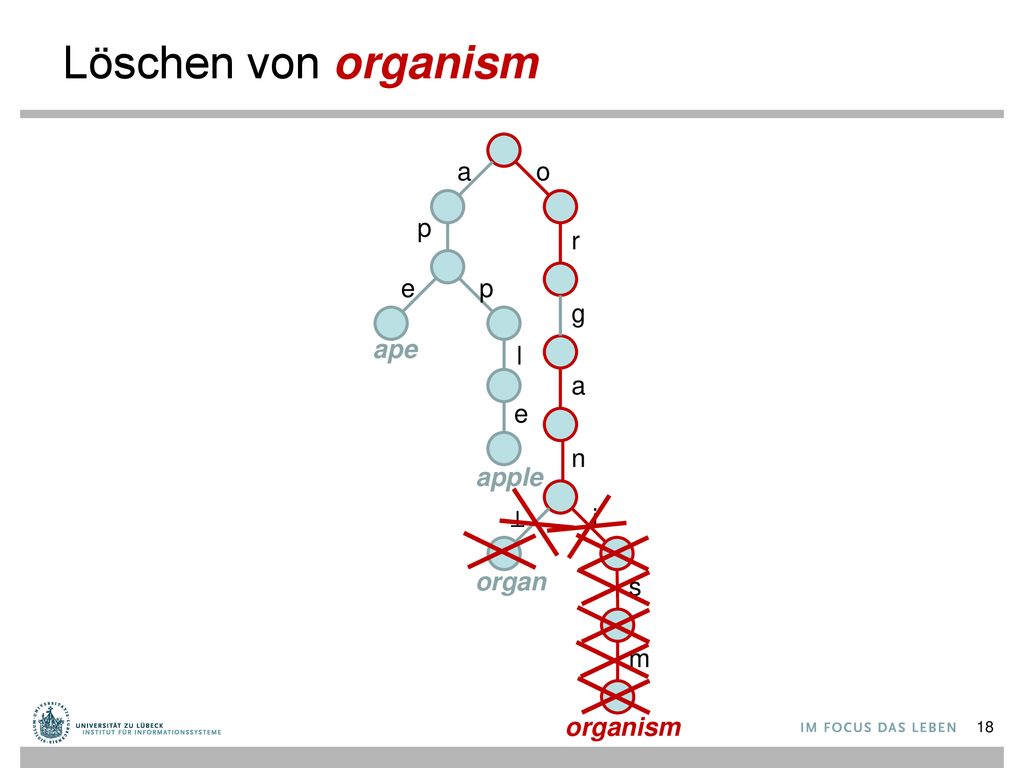 Löschen von organism a o p r e p g ape l a e n apple ⊥ i organ s m