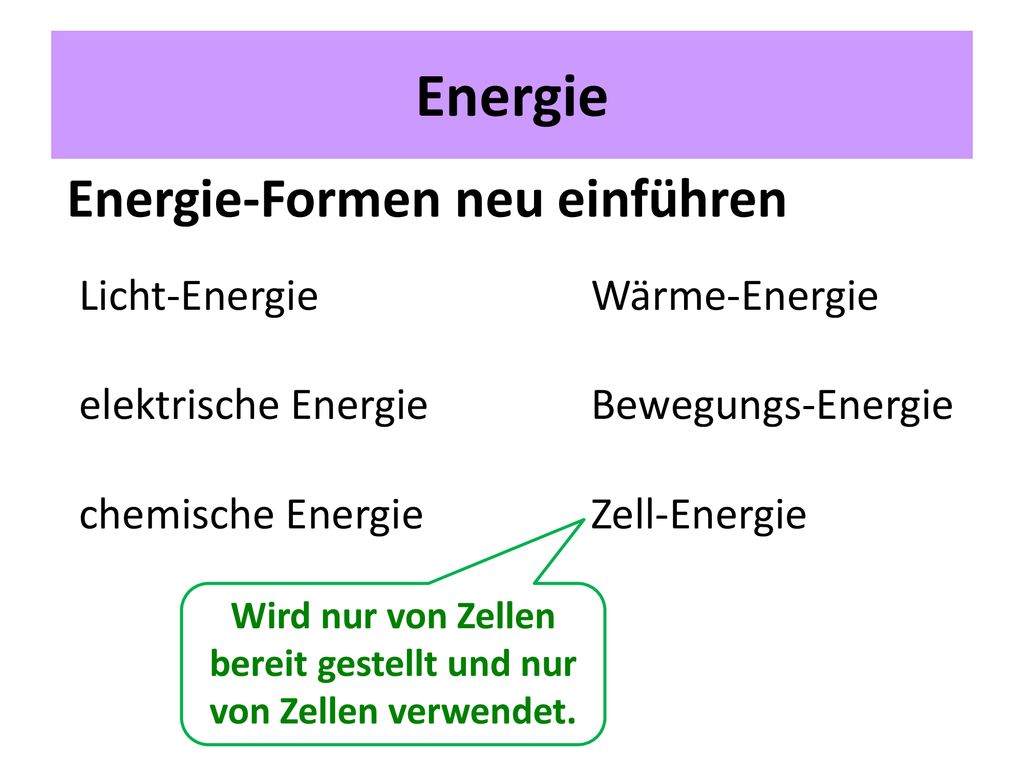 Wird nur von Zellen bereit gestellt und nur von Zellen verwendet.