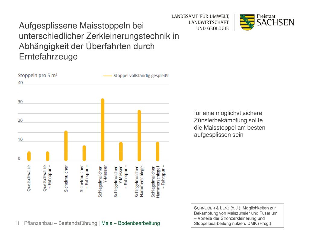 Aufgesplissene Maisstoppeln bei unterschiedlicher Zerkleinerungstechnik in Abhängigkeit der Überfahrten durch Erntefahrzeuge