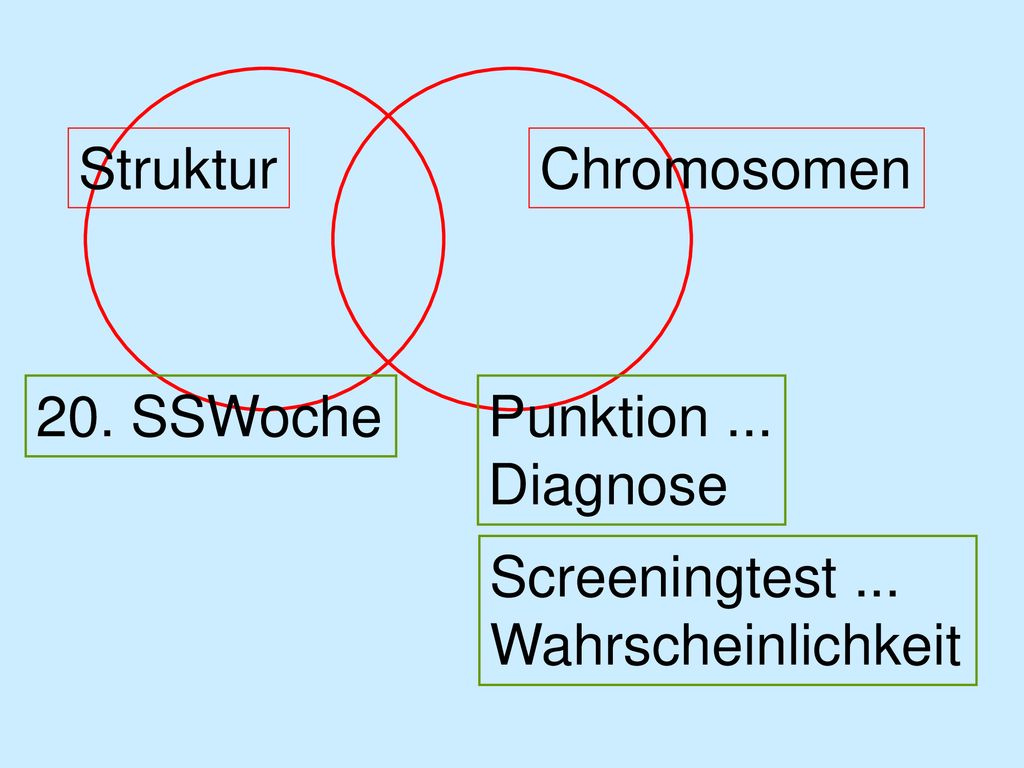 Struktur Chromosomen 20. SSWoche Punktion ... Diagnose Screeningtest ... Wahrscheinlichkeit