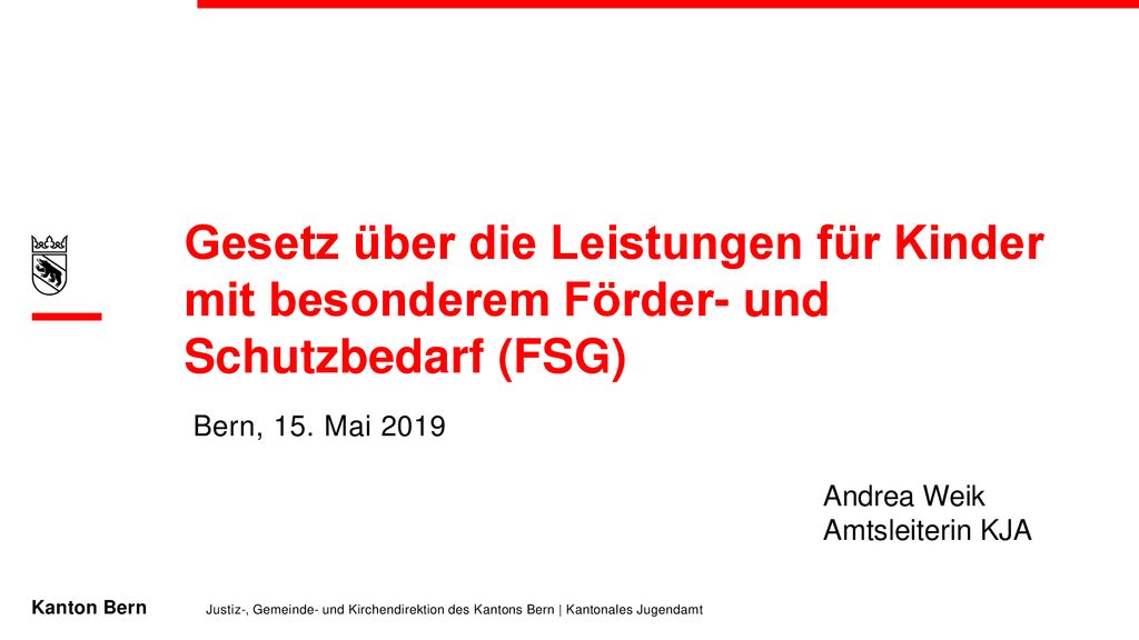 Gesetz über die Leistungen für Kinder mit besonderem Förder- und Schutzbedarf (FSG)
