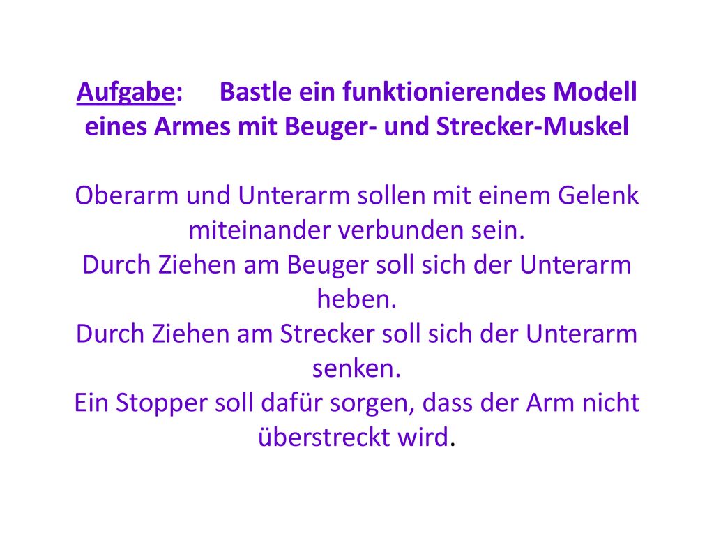 Aufgabe: Bastle ein funktionierendes Modell eines Armes mit Beuger- und Strecker-Muskel Oberarm und Unterarm sollen mit einem Gelenk miteinander verbunden sein.