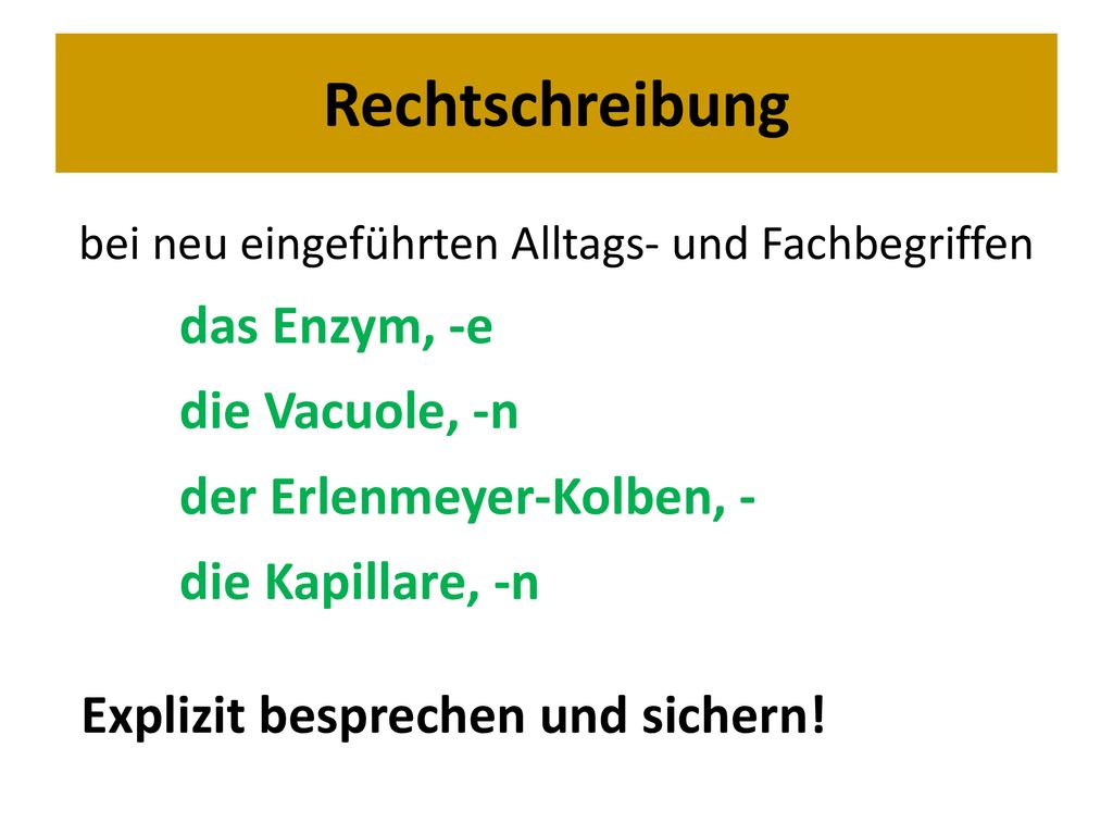 bei neu eingeführten Alltags- und Fachbegriffen